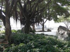 -胡里山炮台
