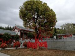 -莆田南少林寺