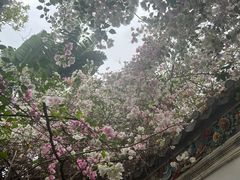 -深圳国际园林花卉博览园