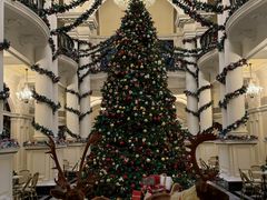 -Salon de Ville浦江汇(上海外滩华尔道夫酒店店)