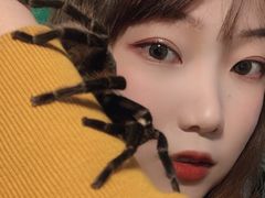 -藦茜花园宠物主题亲子互动体验馆(国顺东路店)