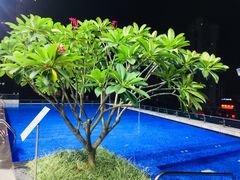 -广州粤海喜来登酒店