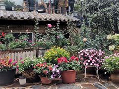 -乡村小榭饭店