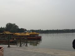 -溱湖国家湿地公园