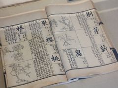 -苏州园林博物馆