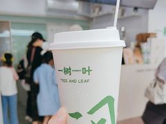 -一树一叶·福建茶档(石鼓路店)