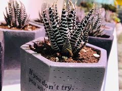 -KKV(深圳宏发大仟里店)