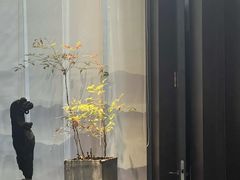 -王府茶楼茶宴·创意菜(朝阳公园店)