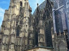 -斯蒂芬主教座堂(Stephansdom)