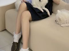 -怪兽屋·羊驼·猫咖·狗咖(俊华广场店)