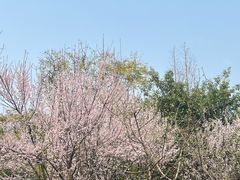 -沐仙湖湿地公园