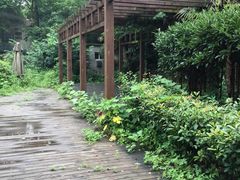 -上海文艺医院