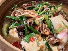 版纳油呛毛肚黄喉-呐咪傣园·云南菜(石厦店)