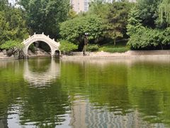 -团结湖公园