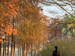 -东莞植物园