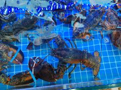 -日照大牌檔•小船海鲜(万平口店)