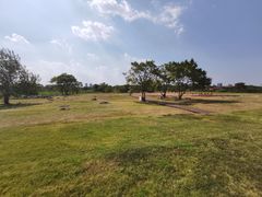 -盘龙城国家考古遗址公园