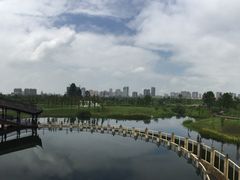 -眉山湿地公园(东坡区)