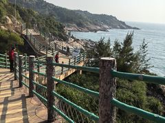 -广东惠东海龟国家级自然保护区