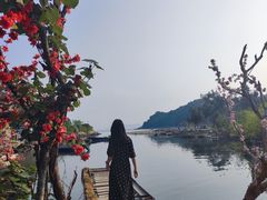 -杨梅坑