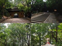 -灵岩山风景区