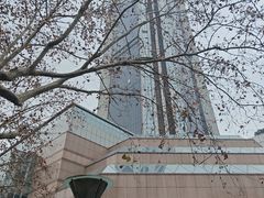 -上海新锦江大酒店