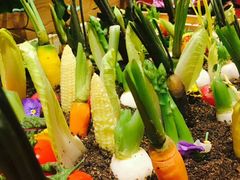 -上海崇明金茂凯悦酒店