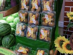 零售区-百果园PAGODA(沿海赛洛城店)
