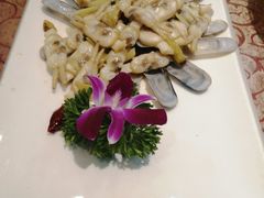 蛏子-黄海海鲜酒店(静海路店)