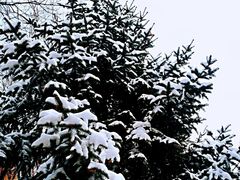 -长春公园(普阳街道)