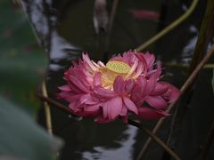 -苏州河梦清园环保主题公园