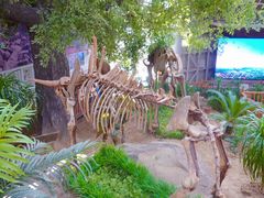 -中国第四纪冰川遗迹陈列馆