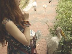 -吉隆坡雀鸟公园