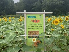 -郑州植物园