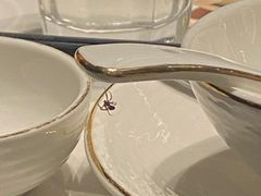 -领鲜天下·焗海鲜·花胶鸡(天目里店)