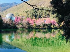 -蝴蝶泉公园