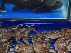 -东江海鲜酒家(艺都分店)