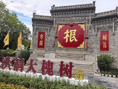 -大槐树寻根祭祖园