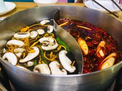 双拼锅底-青瓷火锅料理(西单大悦城店)