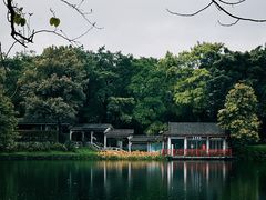 -荔湾湖公园