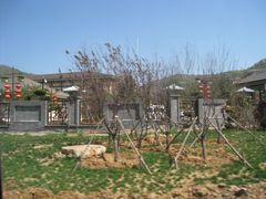 -金石唐风国际温泉会馆