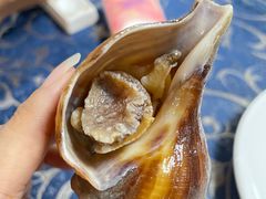 -金瑞轩大酒楼·顺德鱼生·粤菜海鲜(东江国际店)