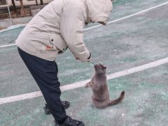 -四门塔风景区