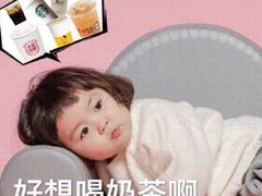 -一只酸奶牛(八一路店)