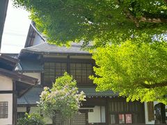 -医王山·飞騨国分寺