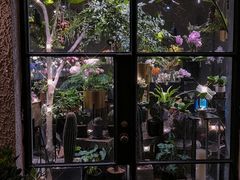 -Madeleine玛德琳(永平里店)