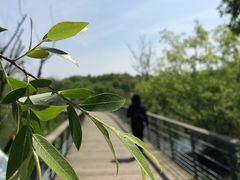 -西湖风景区-江洋畈生态公园