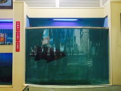 -明香海鲜酒家(华强北店)