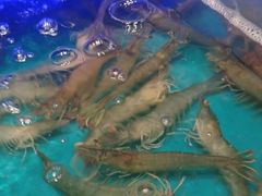 -SEA西雅图海鲜自助餐厅(海乐世界店)