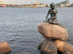 -美人鱼